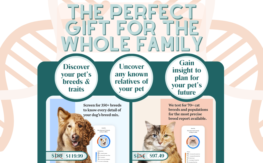 The Wisdom Panel – It’s More Than Knowing Your Dog’s Breed