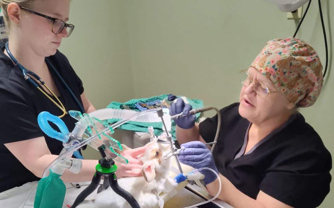 It just keeps going and going and…growing